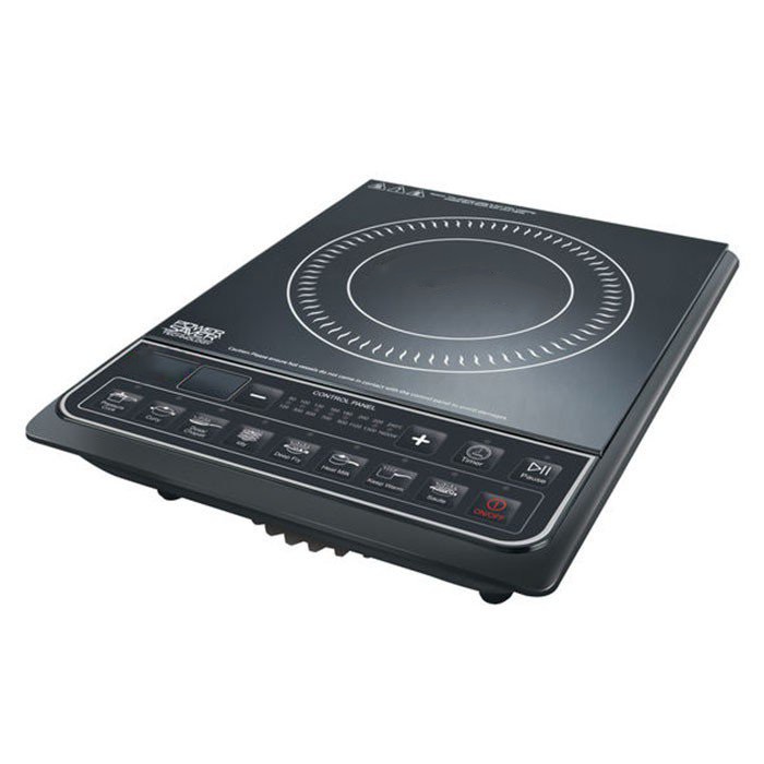 Induction Model 2