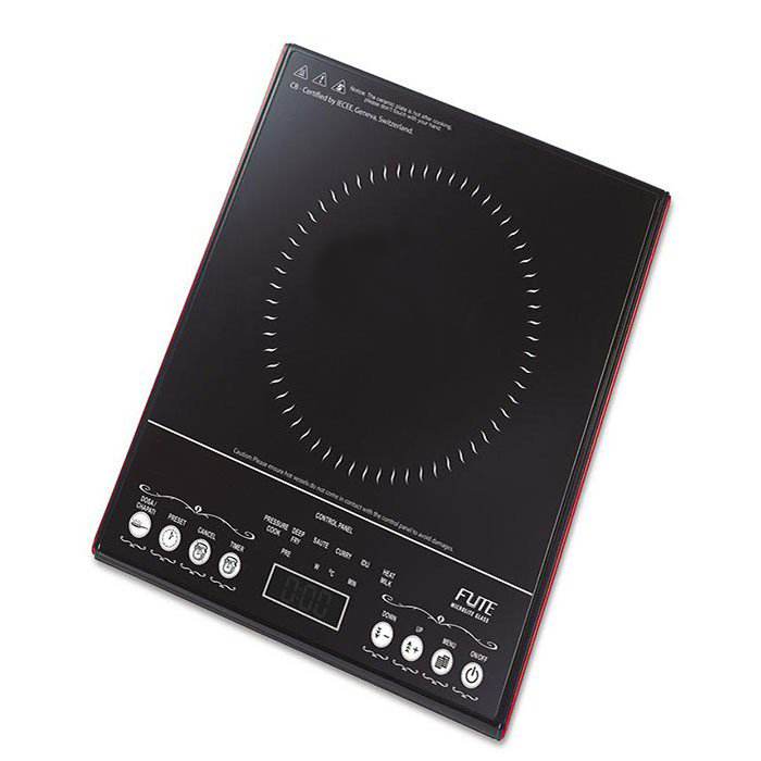 Induction Model 2