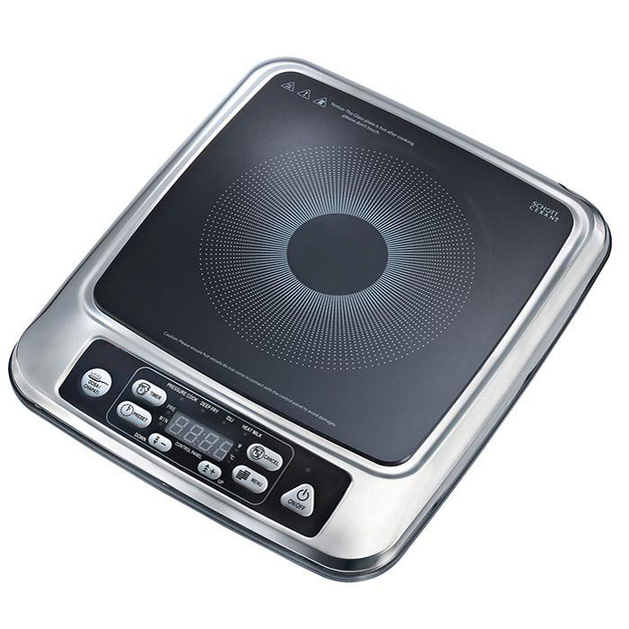 Induction Model 3