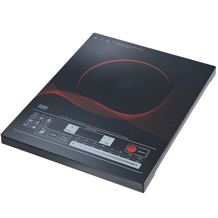 Induction Model 4