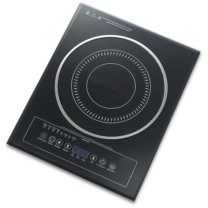 Induction Model 2